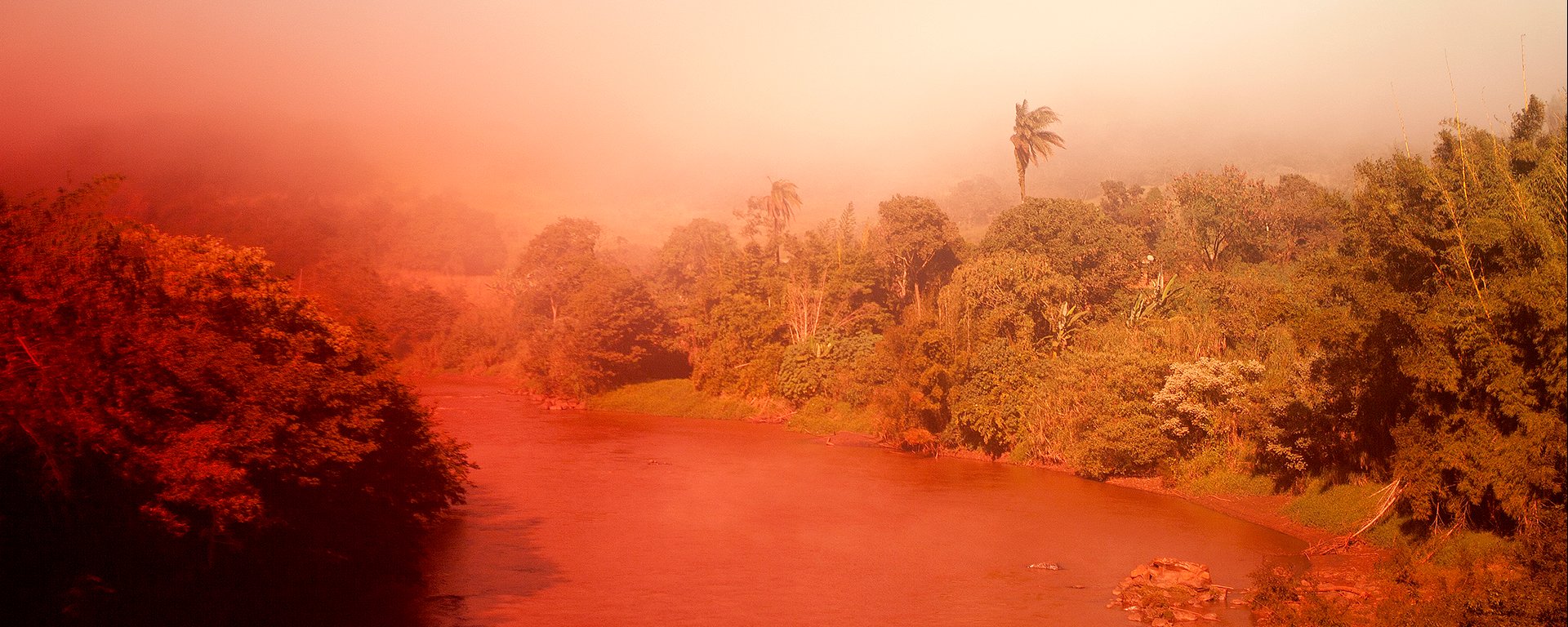 SAISON FRANCE-BRESIL